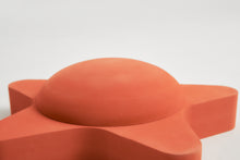 Afbeelding in Gallery-weergave laden, Moes Play Zeester