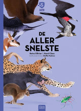 Afbeelding in Gallery-weergave laden, Superbeesjes - De allersnelste (Vanaf 5 jaar)