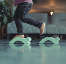 Afbeelding in Gallery-weergave laden, Moes Play Baby turtles