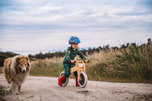 Afbeelding in Gallery-weergave laden, Wishbone balans fiets 2-in-1 origineel