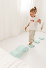 Afbeelding in Gallery-weergave laden, Moes Play Baby turtles