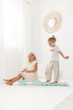 Afbeelding in Gallery-weergave laden, Moes Play Baby turtles