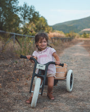 Afbeelding in Gallery-weergave laden, Wishbone Gerecycled 3-in-1 fiets