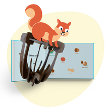 Afbeelding in Gallery-weergave laden, Kidiyo Avonturenbox: Boek, Speurkaart & Bouwpakket Eekhoorn Voederbakje