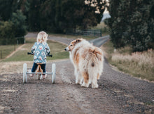 Afbeelding in Gallery-weergave laden, Wishbone balans fiets 3in1 origineel