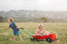 Afbeelding in Gallery-weergave laden, Wishbone 3-in-1 Wagen