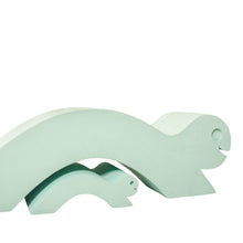 Afbeelding in Gallery-weergave laden, Moes Play Turtle