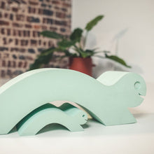 Afbeelding in Gallery-weergave laden, Moes Play Turtle