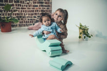 Afbeelding in Gallery-weergave laden, Moes Play Turtle