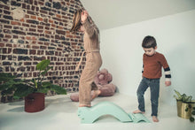 Afbeelding in Gallery-weergave laden, Moes Play Turtle