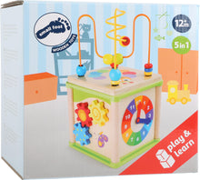 Afbeelding in Gallery-weergave laden, Small Foot Motorische kubus insecten