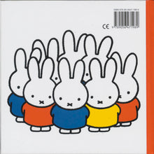 Afbeelding in Gallery-weergave laden, Hangoor, Nijntje (0-2 jaar oud)