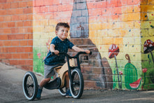 Afbeelding in Gallery-weergave laden, Wishbone Cruise Trike 3-in-1 fiets

